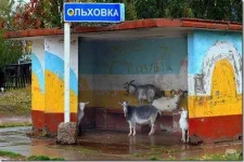 2308658139-Р.webp