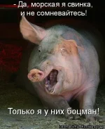 2309134238-Р.webp