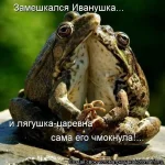 2309137923-Р.webp
