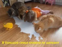 getImage%20(7)-Р.webp