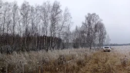image (1).webp