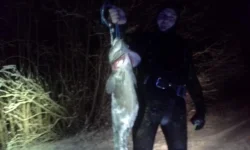 20141122_023034.webp