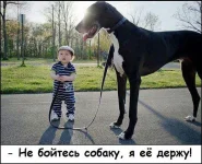 7.webp
