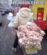 2311003901-Р.webp