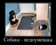 demotivatory_14-Р.webp