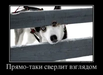 file-73071-Р.webp