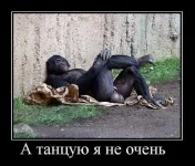 image%20(11)-Р.webp