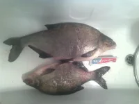 IMG-20141120-WA0000.webp