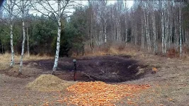 Скриншот 04.12.2014 163111.webp