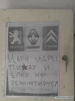 3746897.webp