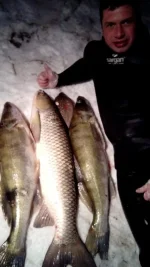 IMG-20141215-WA0001.webp