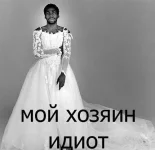 4551599.webp