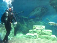 IMG_20150110_161214_066.webp