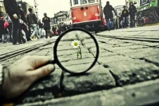 красота.webp