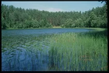 подводная охота. засидка..webp подводная охота. засидка..webp