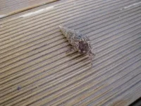 DSC00860.webp