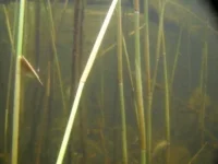 DSCN0678.webp