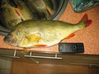 Picture 001.webp