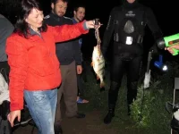 киллерфиш2.webp
