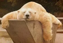 sleep.webp