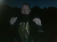 Они же.webp