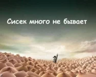 26.webp