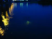 IMG_0416.webp