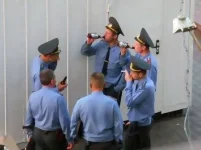 41843.webp