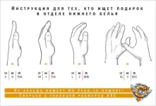 си5.webp
