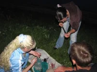 IMG_3696.webp
