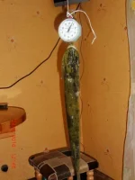 CIMG0353.webp