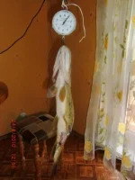 CIMG0354.webp