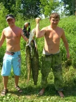 DSCN8649.webp