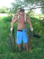 DSCN8654.webp