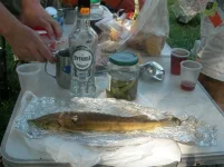 DSCN8724.webp