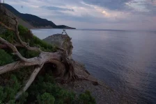 IMGP4661.webp