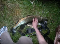 DSCN8745.webp