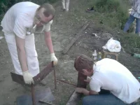 P300610_22.28_[02].webp
