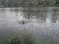 P300610_22.29.webp