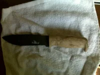 03072010153.webp