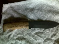 03072010154.webp