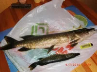 CIMG0374.webp
