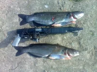 06072010009.webp