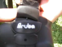 IMGP4543.webp