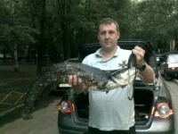 09072010164.webp