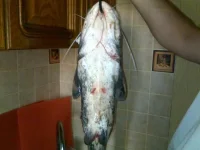 09072010169.webp
