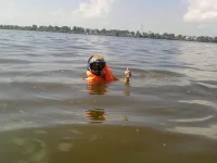 P110710_15.40_[02].webp
