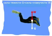 eacb3ecccdee597b3789bba72e0f75dd.jpg.webp