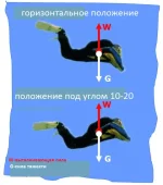 b4fcad0ae55c405c7c3242f1d323f32a.jpg.webp