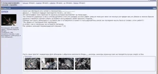 Безымянный.webp